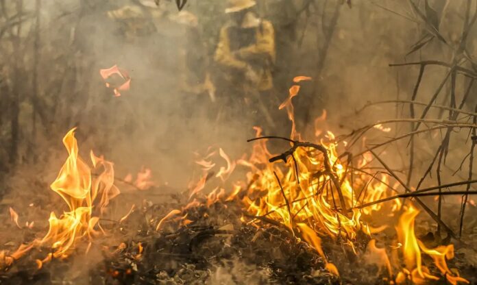 incendios-consomem-mais-de-1,3-milhao-de-hectares-do-pantanal-em-2024