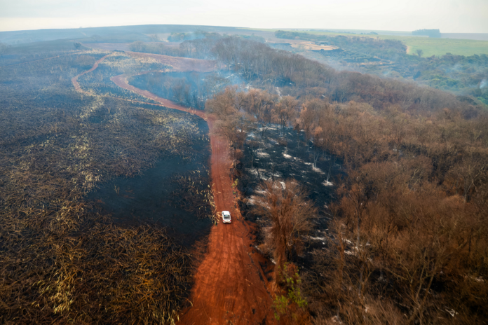 brasil-registra-aumento-alarmante-de-incendios-em-agosto