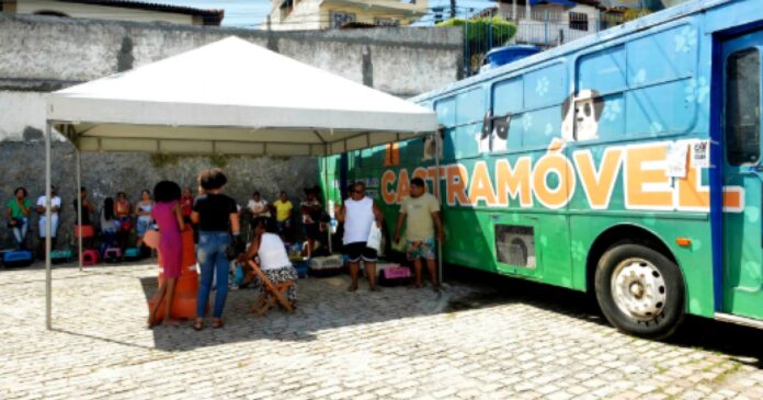 prefeitura-de-salvador-oferece-servico-de-castracao-para-animais-domesticos-em-itapua prefeitura-de-salvador-oferece-servico-de-castracao-para-animais-domesticos-em-itapua