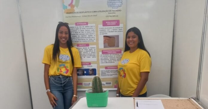 estudantes-de-colegio-de-andorinha-transformam-cacto-da-caatinga-em-bioplastico estudantes-de-colegio-de-andorinha-transformam-cacto-da-caatinga-em-bioplastico