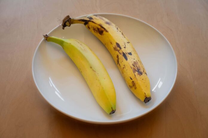 humanos-compartilham-60%-do-dna-com-bananas?-saiba-a-verdade humanos-compartilham-60%-do-dna-com-bananas?-saiba-a-verdade