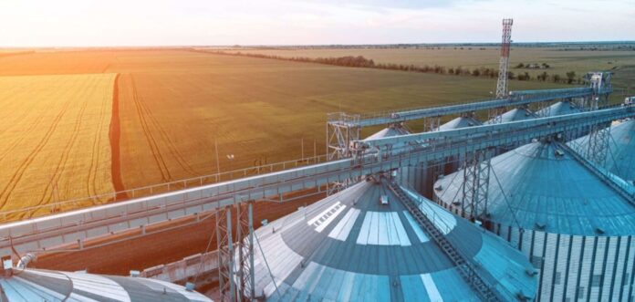 o-agro-esta-produzindo-mais.-o-mundo,-comendo-menos