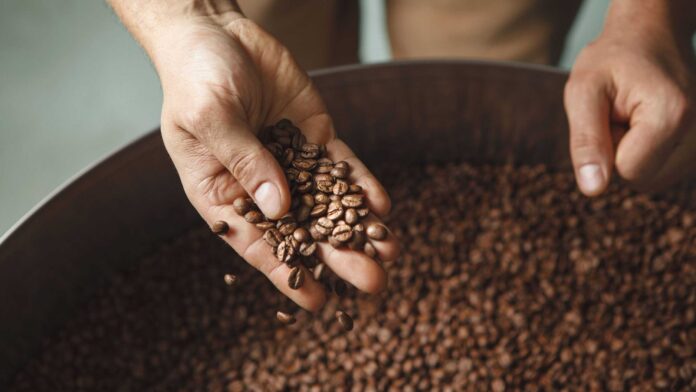 anvisa-proibe-venda-de-tres-marcas-de-‘cafe-fake’-apos-encontrar-toxina