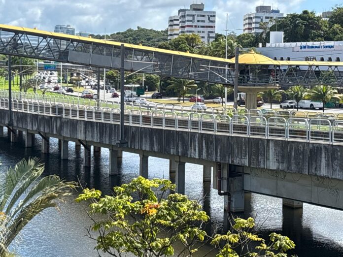 salvador:-homem-rouba-onibus-e-pula-em-corrego-para-fugir-da-policia salvador:-homem-rouba-onibus-e-pula-em-corrego-para-fugir-da-policia