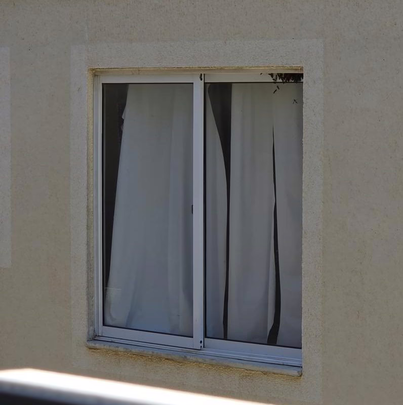 Insetos invadem cidade na Bahia e preocupam moradores; saiba o motivo